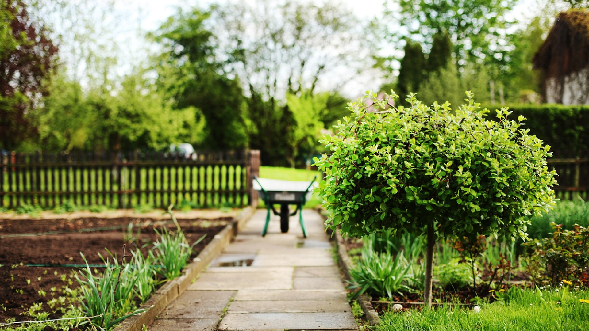 Pourquoi opter pour une terrasse sur plots ? 